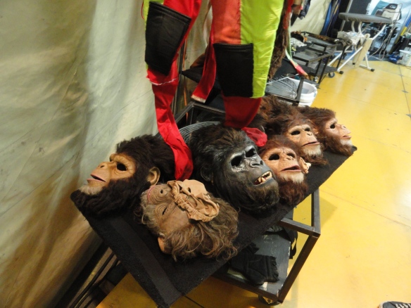 monkey masks